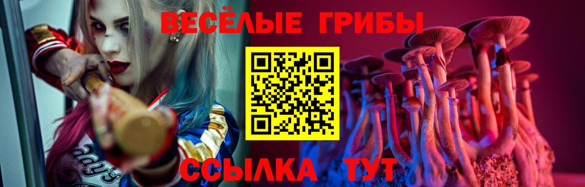 Моздок  Псилоцибиновые грибы ЛСД  Вход с VPN  Галлюциногенные грибы GOLDEN TEACHER 